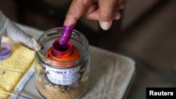 Seseorang mencelupkan jarinya ke dalam tinta di tempat pemungutan suara pada hari pemilihan umum Kamboja, di Phnom Penh, Kamboja, 23 Juli 2023. (Foto: Reuters)