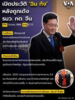 Qin Gang infographic