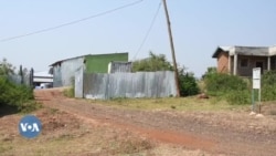 Daldaltoonni Bunaa Karaa  Alergii Bunaa “Vertikaal” Jedhamuun Gurguratan Kaffaltii Malee Hafne, Jedhu