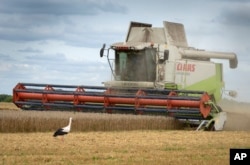 Food prices are rising as countries limit exports. Blame climate change, El Nino and Russia’s war. (AP Photo/Efrem Lukatsky, File)