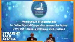 ተሰናባቹ የአውሮፓውያን 2024 ሲቃኝ 