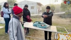 نئی دہلی میں پالتو جانوروں کا 'شمشان گھاٹ' 