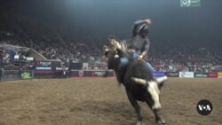 Professional Riders Brave Eight Seconds on a Bucking Bull
