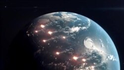 Mushrooms Can Help Cut Wildfire Risks, Scientists Find