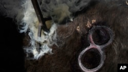 A farmhand brands a calf with a hot iron during a bullfighting workshop, in Aculco, Mexico, Jan. 25, 2024.