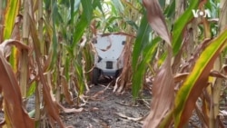 Cena je prepreka širem korišćenju dronova i robota u poljoprivredi