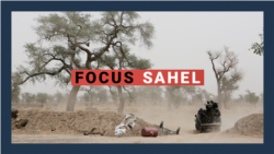 Focus Sahel, épisode 25 : l’impact du terrorisme sur la protection des forêts