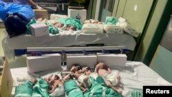 팔레스타인 가자지구 알시파 병원에서 전기가 끊겨 미숙아 치료 기기에서 꺼내진 신생아들이 12일 침상에 누워 있다. 