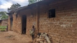 Impungenge z'Impunzi Tanzaniye Yiteguriye Kwaka Ubuhungiro 