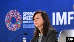سخنگوی صندوق بین‌المللی پول، جولی کوزاک - آرشیو