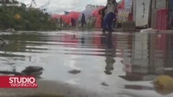 Samit o sigurnosti hrane: Inovacije mogu ublažiti globalnu glad