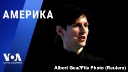 Mwanzilishi wa mtandao wa Telegram Pavel Durov