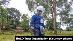 ຢູ່ໃນລາວ ພະນັກງານເກັບກູ້ລະເລີດທີ່ຍັງບໍ່ທັນແຕກ ຂອງອົງການເຮໂລ ກຳລັງຊອກຫາລະເບີດຝັງດິນ ຢູ່ໃກ້ບ້ານກາລອງເໜືອແຂວງສະຫວັນນະເຂດ.