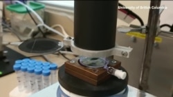 Shkencëtarët duan të eliminojnë kimikatet me efekt të përhershëm