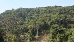 Jiraattonni Naannoo Bosona Yaayyoo Bosonicha Dhaloota Hedduuf Kunuunsinus Faayidaa Irraa Hin Arganne Jedhu