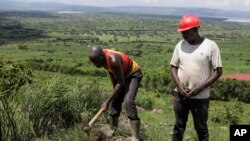 FILE - People, part of the Nakivale Green Environment Association, plant trees inside Nakivale Refugee Settlement in Mbarara, Uganda, on Dec. 5, 2023. Refugees are helping to plant thousands of seedlings in hopes of reforesting the area. 