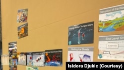 An example of the Climate Fresk cards.