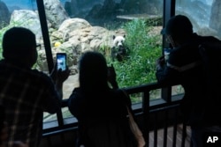 แพนด้า เหมย เซียง ขณะอยู่ที่สวนสัตว์แห่งชาติสมิธโซเนียน (Smithsonian National Zoo)
