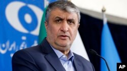 محمد اسلامی، رئیس سازمان انرژی اتمی ایران
