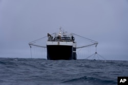 The Norwegian Aker BioMarine's Antarctic Sea trawls for krill off the coast of the South Orkney Islands on March 10, 2023. (AP Photo/David Keyton)