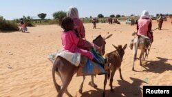 Anak-anak menaiki keledai menyeberang dari Sudan ke Chad, 7 November 2023. (Foto: El Tayeb Siddig/Reuters)