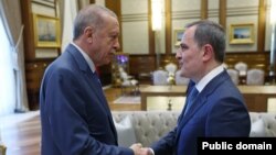 Rəcəb Tayyib Ərdoğan və Ceyhun Bayramov (Mənbə: Türkiyə Prezidentinin rəsmi internet saytı)