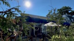 Mansa Kunda : le restaurant gambien qui allie art et cuisine