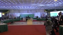 Réactions à Abuja après la demande de retrait du Mali, Niger et Burkina de la Cédéao