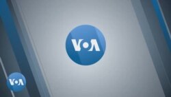 "Bendele": Un voyage littéraire vers les origines et les traditions africaines