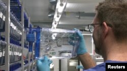 ลาร์ส บรอติกัม ตรวจสอบปลาม้าลายที่เพาะขึ้นมาเพื่องานวิจัย