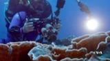 VOA Asia Weekly: Pacific Island Ocean Preservation Efforts