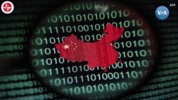 Xitoy: Kiberhujumlarga mutlaqo aloqamiz yo’q