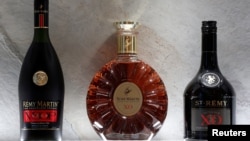 资料照：在法国巴黎人头马君度SA总部展示的人头马 VSOP干邑、人头马XO干邑和圣人头马XO白兰地的瓶子。