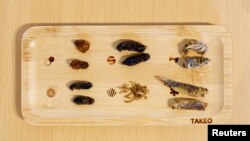 ภาพแมลงชนิดต่าง ๆ ถูกวางเรียงไว้บนจานที่ทาเค-โนโกะ คาเฟ่ (Take-Noko café) กรุงโตเกียว ญี่ปุ่น 