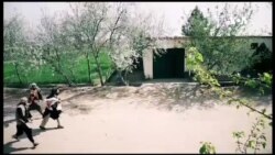 ” ګل تباهي “د یوه معتاد په ژوند جوړ شوی فلم