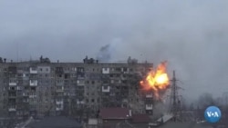 Ukraina madaniyati va san'atidagi yo'qotishlar