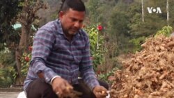 Индиските фармери се ориентираат кон алтернативно земјоделство