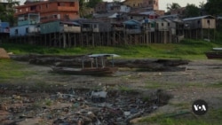 Scientists Say 2023 Amazon Drought Most Severe in Recorded History