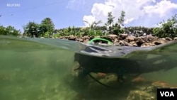 Turbid water outside Florida coast