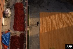 북한 평양 인근 마을에서 추수한 옥수수와 고추를 말리고 있다. (자료사진)