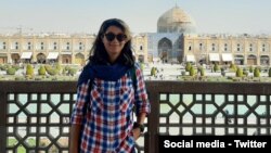 نیلوفر حامدی