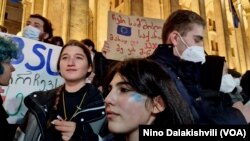 აქცია "არა რუსულ კანონს", საქართველოს პარლამენტის შენობა