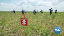 US Halo Trust Helps Demine Ukraine's Mykolaiv Region 