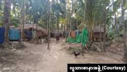 တနင်္သာရီတိုင်းအတွင်း စစ်ဘေးရှောင်နေရသူများ (ဓာတ်ပုံ​- လူသားစာနာအဖွဲ့) (ယခင်ပုံဟောင်း)