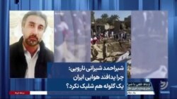 شیراحمد شیرانی نارویی: چرا پدافند هوایی ایران یک گلوله هم شلیک نکرد؟