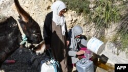 Après quatre ans de stress hydrique, la Tunisie va devoir importer la totalité de ses besoins en blé dur, blé tendre et orge jusqu'au printemps 2024.