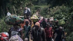 SML: Basali mibembo baike bakangami na nzamba na Kibaya mpo na bitumba ya M23