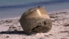Mystery Object That Washed Up on Australian Coast Could Be Space Junk, Officials Say