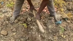 A kokarin samar da wadataccen abinci a Nijar, kungiyar agaji ta kasa da kasa ta SWISSAID ta bullo da wani tsari na bunkasa noman rani