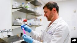 Research scientist Kevin Potts checks on trypsin, a proteolytic enzyme, to dissociate ovarian cancer cells being grown on a plastic plate at UW Medicine's Cancer Vaccine Institute May 25, 2023.